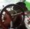  Merlo P40.17