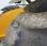  Jcb 535-125