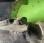 Tracteur agricole Deutz DX85
