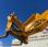  Jcb 542-70 AGRI XTRA