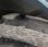 Tracteur agricole New Holland 7740