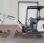 Mini-pelle Bobcat E17Z