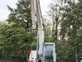 Pelle  Terex TW 190