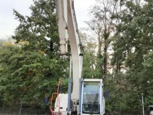 Pelle  Terex TW 190